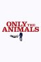 Nonton film Only the Animals (2019) Nonton film Only the Animals (2019)