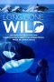Nonton film Long Gone Wild (2019) Nonton film Long Gone Wild (2019)