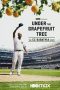 Nonton film Under The Grapefruit Tree: The CC Sabathia Story (2020) Nonton film Under The Grapefruit Tree: The CC Sabathia Story (2020)